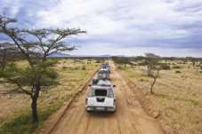 Botswana-safari1[1].jpg